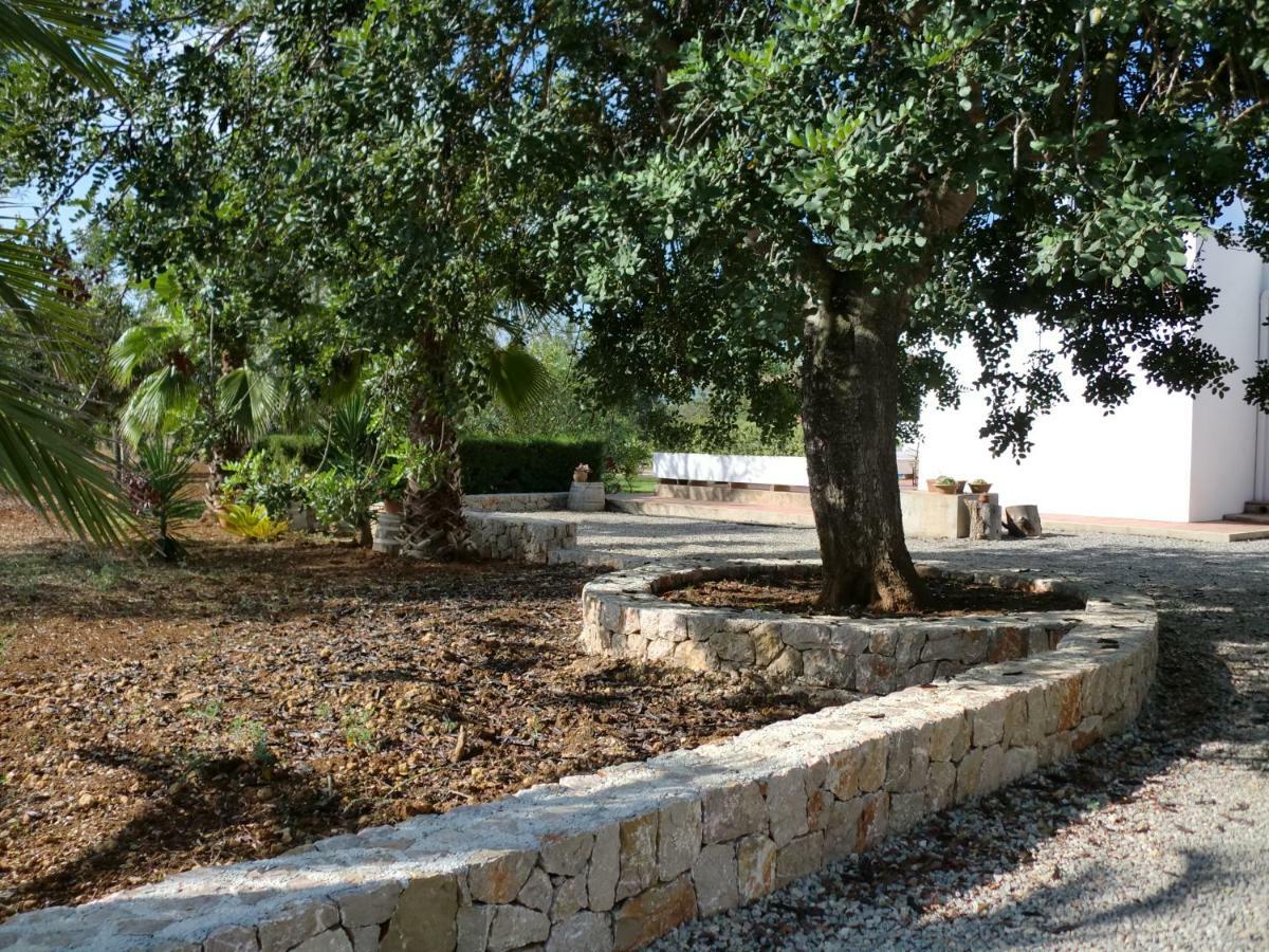 Villa Sa Vinyeta Sant Llorenc de Balafia Exterior foto